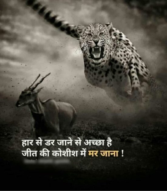 Good Morning Shayari in hindi | Good Morning Shayari 3 good morning quotes in hindi